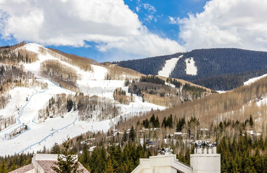 521 E Lionshead Circle 602 38