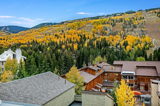 521 E Lionshead Circle 602 43