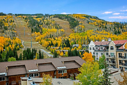 521 E Lionshead Circle 602 44