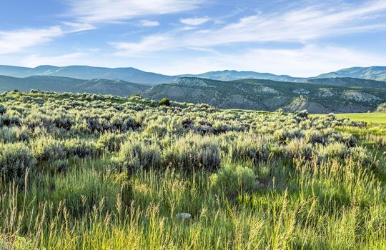 141 E Lakeside Trail-094-098-Twilight-MLS_Size