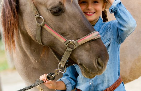 Eagle_shutterstock_126218930