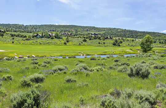 141 E Lakeside Trail-066-078-Area-MLS_Size