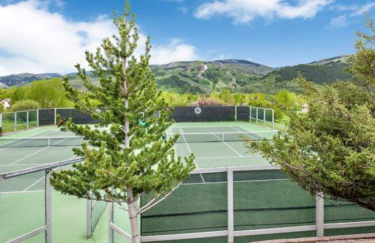 931 Singletree Rd #22-027