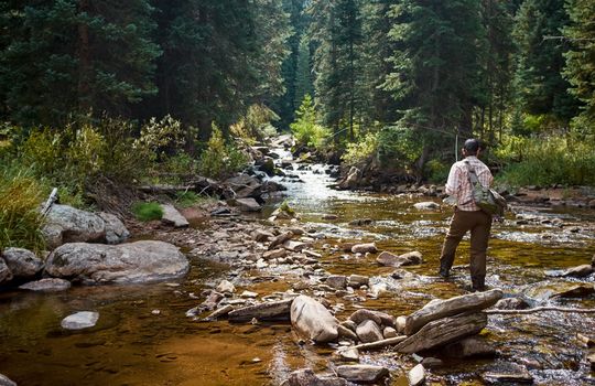Fisherman fishing in mountain stream in wilderness
