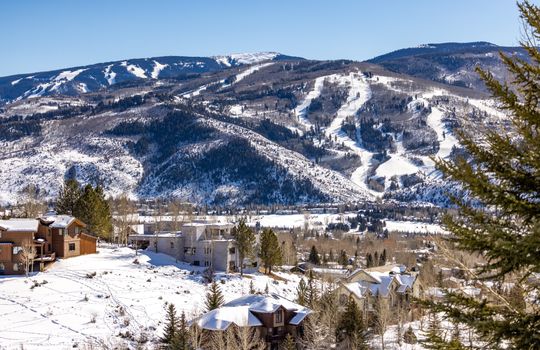 Edwards_Singletree_140A8076