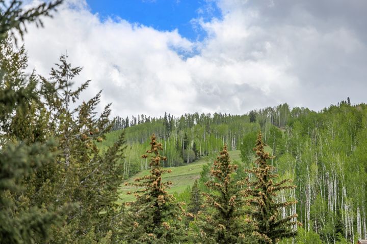 103 Willow Place 301_Summer Winter Combined_13