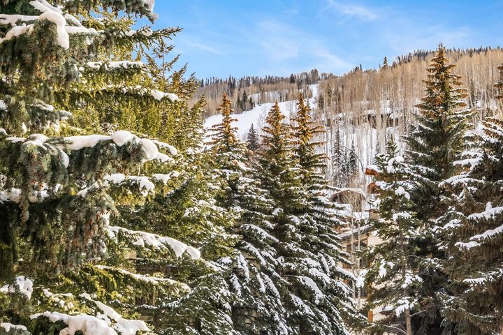 103 Willow Place 301_Summer Winter Combined_15