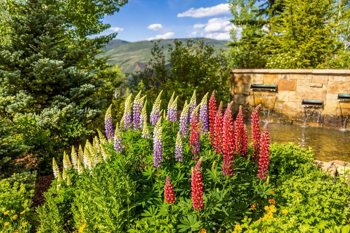 76 Elkhorn V2 Final 12