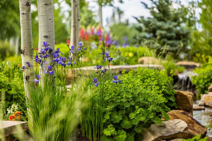 76 Elkhorn V2 Final 13