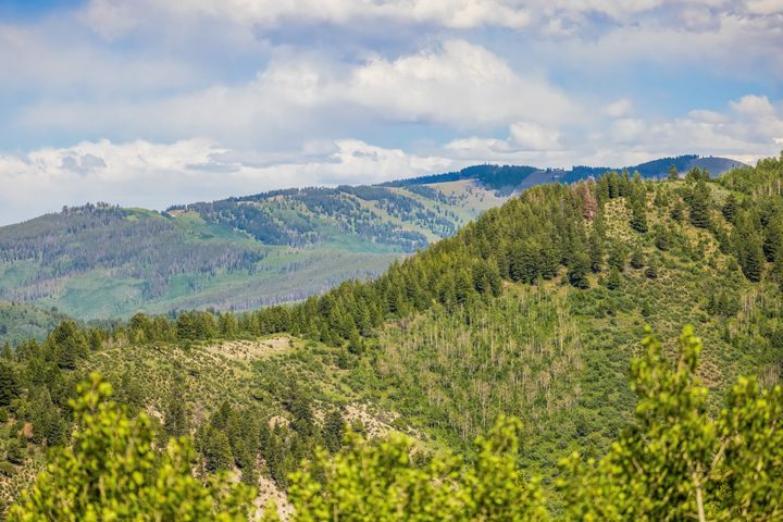 76 Elkhorn V2 Final 37