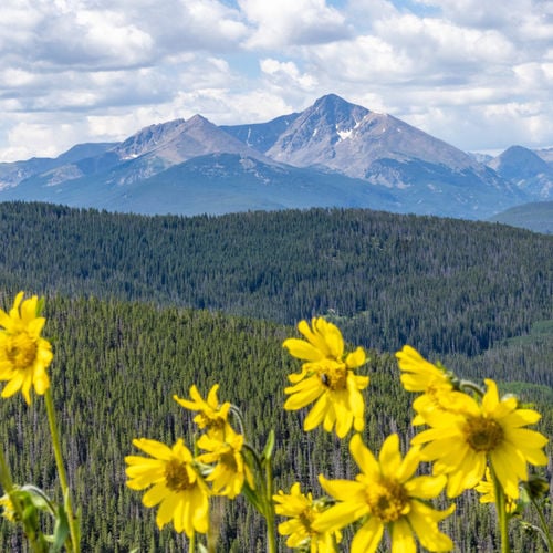 Vail Valley August News & September Preview