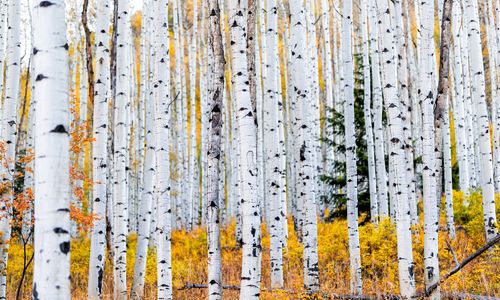 Vail Valley October News & November Preview