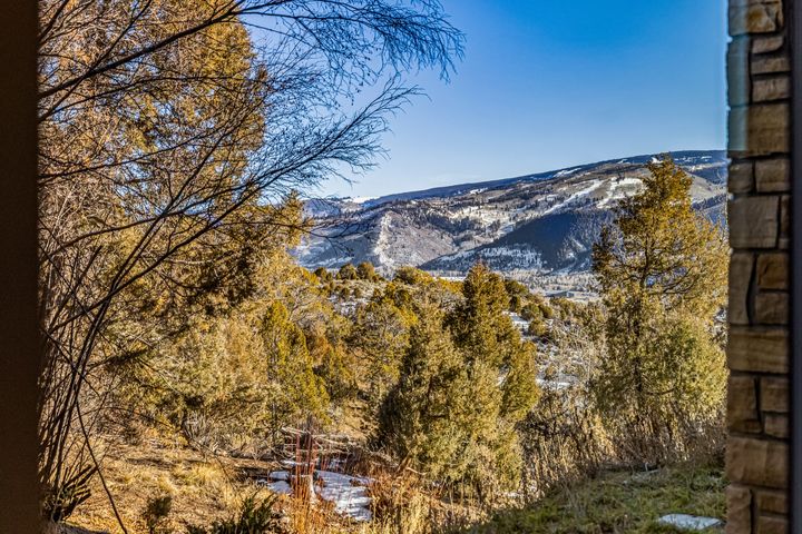 106 Juniper Lane Edwards CO 2025 77