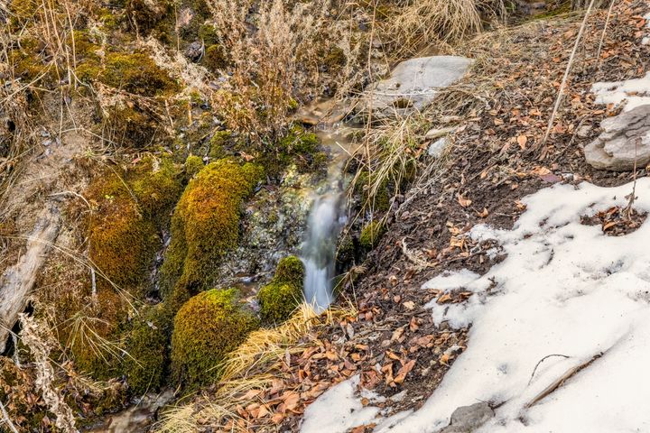 106 Juniper Lane Edwards CO 2025 79