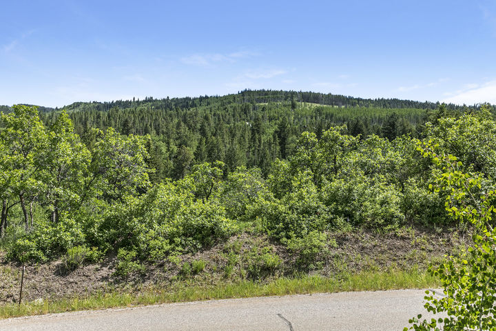08 166 Peregrine Drive Homesite Hillside