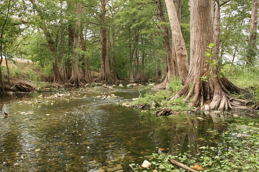 Beautiful photo and the trees and creek of Cibolo Nature Center