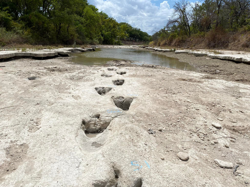 A photo of dinosaur tracks at Government Canyon State Natural Area.