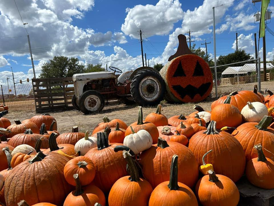 Pile of pumpkins with a tractor in the background, next to a bale of hay with a pumpkin face painted on its side.