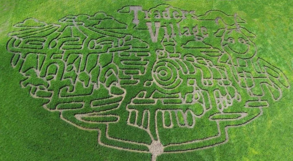 Corn maze at Traders Village