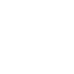TST Logo white