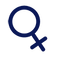 Icon 1