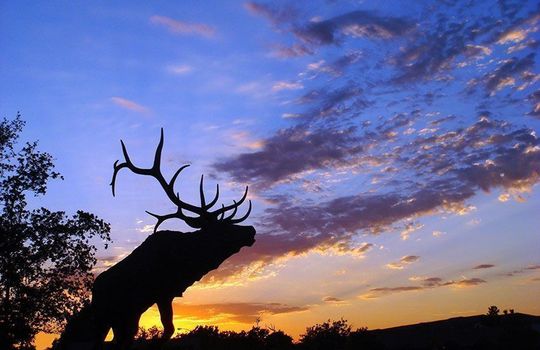 Franklin-&amp;-South-Elk-Grove