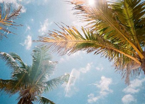 Area Page Img placeholder 2