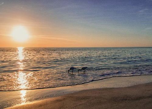 Area Page Img placeholder 3