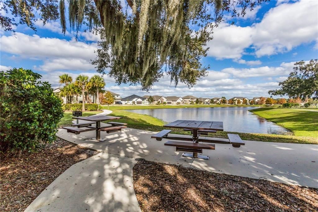 Serenity Creek Homes for Sale Alexis Zibolis Awardwinning Realtor©