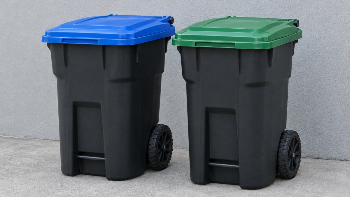 AI-generated editorial illustration of two unmarked roll carts with blue and green lids beside a plain exterior wall; not actual county-issued equipment or a specific property.