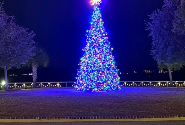 Holiday20202345036