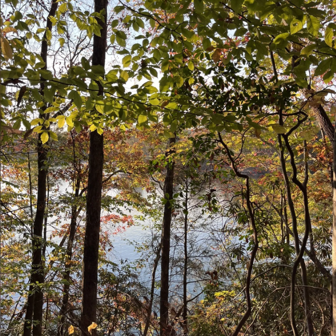 Keowee Yellow Trail