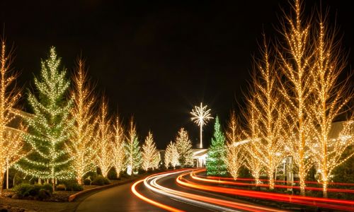 Anderson's Miles of Magic A Dazzling Light …