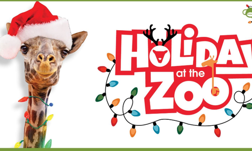Holidays at the Zoo: A Winter Wonderland