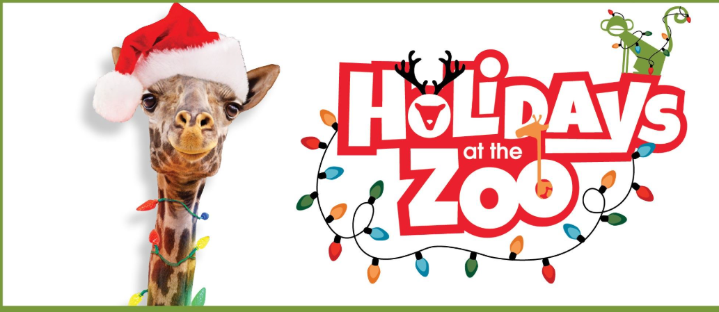 Holiday at the Zoo