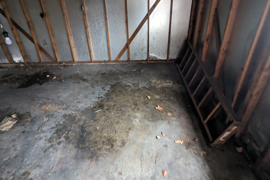 PXL_20240131_150825490