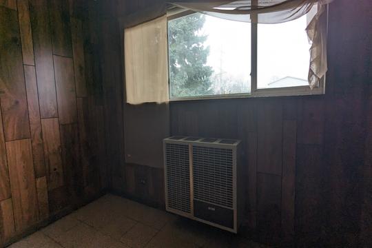 PXL_20240131_151051787