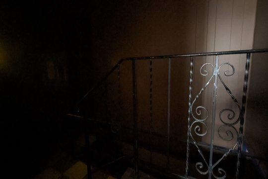 PXL_20240131_151106781