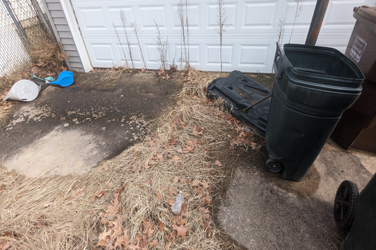 PXL_20240222_184843906