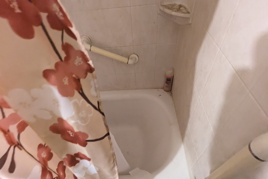 PXL_20240222_185218269