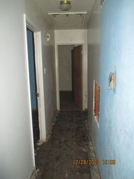 HD_1703883555843_IMG_4542