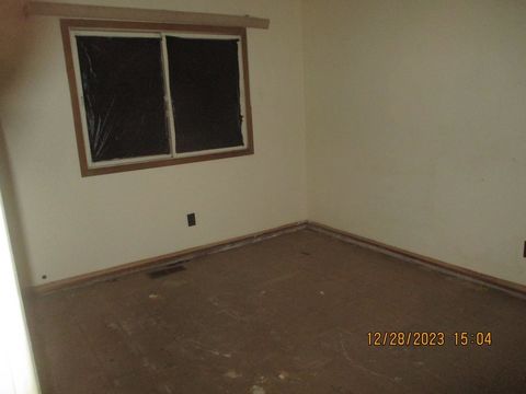 HD_1703883559352_IMG_4545