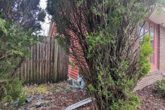 PXL_20240305_171744065