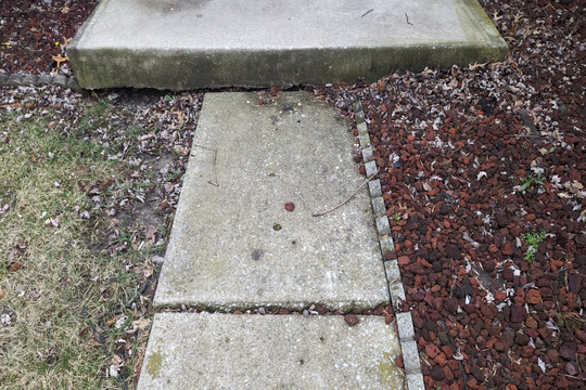 PXL_20240305_171816329