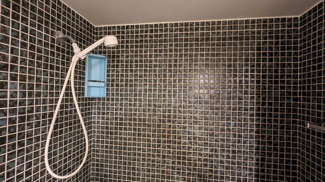 PXL_20240308_152436162