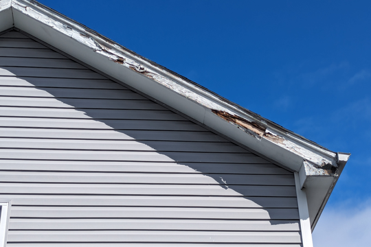 PXL_20240318_152849480