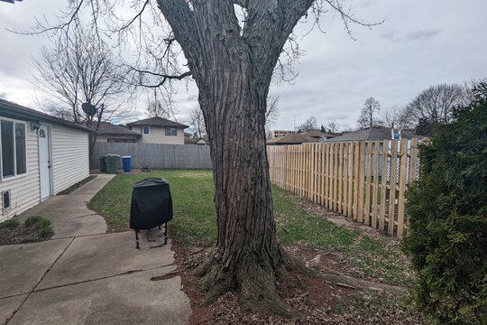 PXL_20240318_160021182