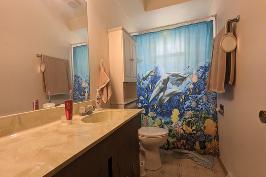 PXL_20240318_160216485