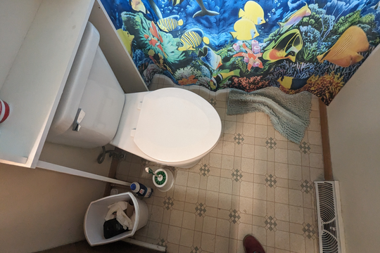 PXL_20240318_160220655