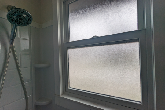 PXL_20240318_160227313